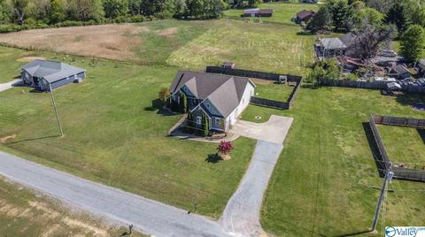 52 Bryan Dr, Fyffe, AL 35971 photo 43
