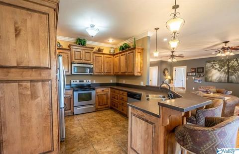 52 Bryan Dr, Fyffe, AL 35971 photo 9