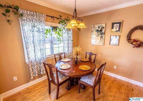 52 Bryan Dr, Fyffe, AL 35971 photo 13