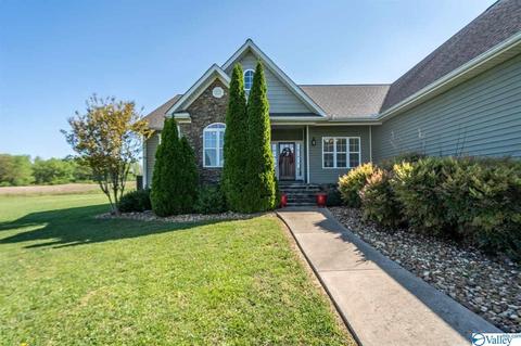 52 Bryan Dr, Fyffe, AL 35971 photo 39