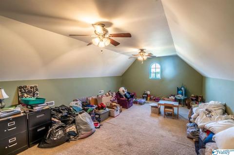 52 Bryan Dr, Fyffe, AL 35971 photo 31