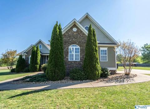 52 Bryan Dr, Fyffe, AL 35971 photo 2