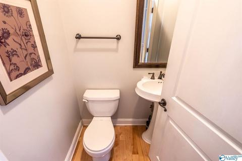 52 Bryan Dr, Fyffe, AL 35971 photo 32