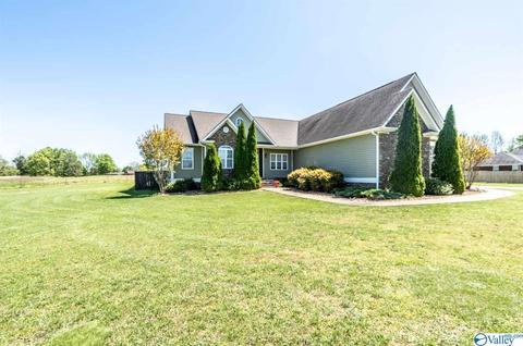52 Bryan Dr, Fyffe, AL 35971 photo 37