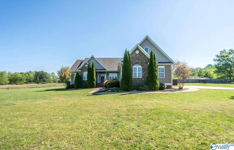 52 Bryan Dr, Fyffe, AL 35971 photo 1