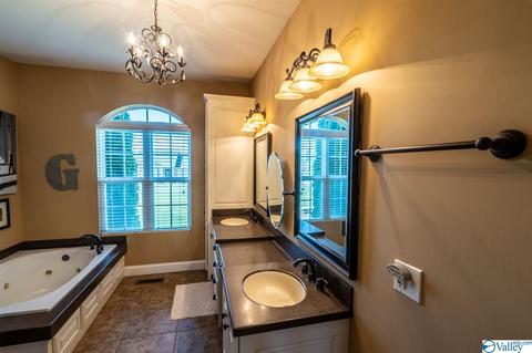 52 Bryan Dr, Fyffe, AL 35971 photo 19
