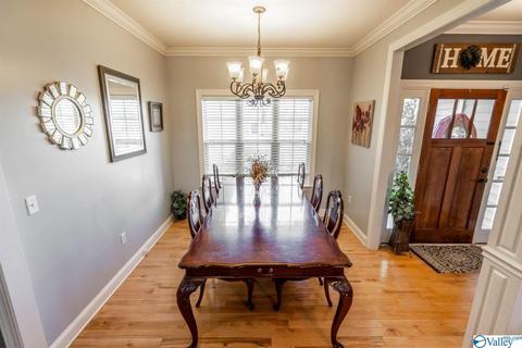 52 Bryan Dr, Fyffe, AL 35971 photo 7