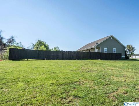52 Bryan Dr, Fyffe, AL 35971 photo 40