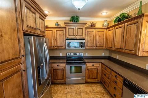 52 Bryan Dr, Fyffe, AL 35971 photo 12