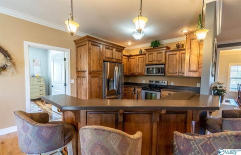 52 Bryan Dr, Fyffe, AL 35971 photo 10