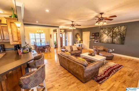 52 Bryan Dr, Fyffe, AL 35971 photo 5