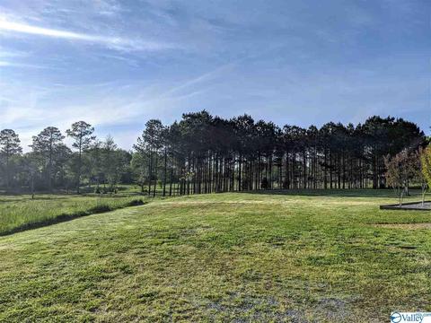 1171 S Main St, Section, AL 35771 photo 3