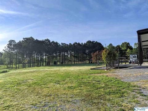1171 S Main St, Section, AL 35771 photo 10