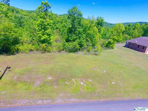 36 Tara Dr, Guntersville, AL 35976