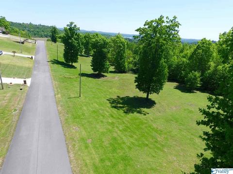 45 Tara Dr, Guntersville, AL 35976