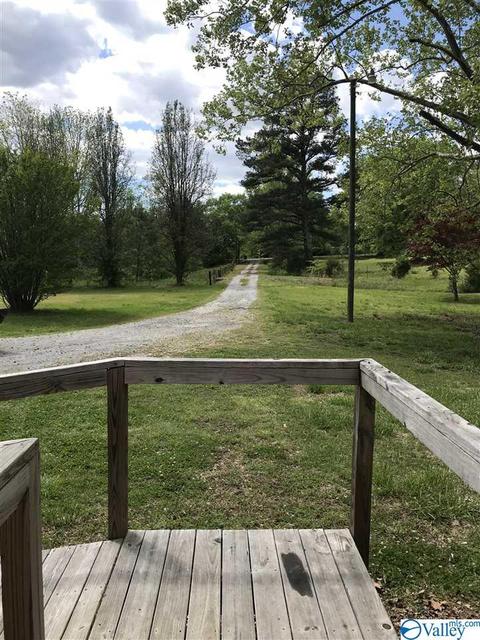 4264 County Road 217, Trinity, AL 35673 photo 3