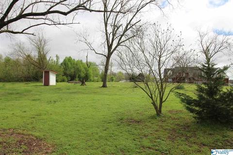 6060 County Road 19, Section, AL 35771 photo 16