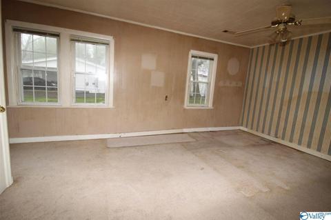 6060 County Road 19, Section, AL 35771 photo 10