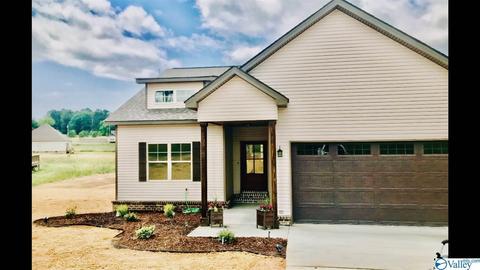 205 Rustic Trl, Grant, AL 35747 photo 1