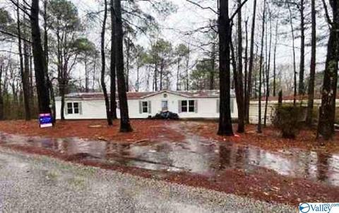 54 Tidwell Rd, Jasper, AL 35504 photo 1
