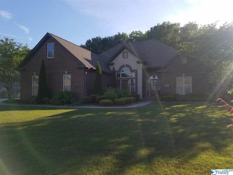 15 Mountain Cove Dr, Trinity, AL 35673 photo 1