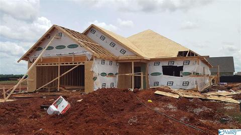 23 Dylan Rd, Madison, AL 35756 photo 3