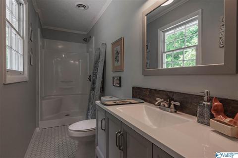 209 Spring Road South E, Arab, AL 35016 photo 34