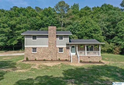 209 Spring Road South E, Arab, AL 35016 photo 2