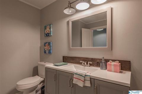 209 Spring Road South E, Arab, AL 35016 photo 41