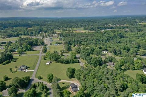 209 Spring Road South E, Arab, AL 35016 photo 11