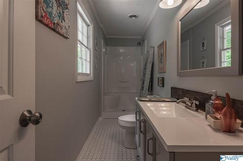 209 Spring Road South E, Arab, AL 35016 photo 33