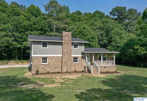 209 Spring Road South E, Arab, AL 35016 photo 3