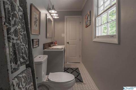 209 Spring Road South E, Arab, AL 35016 photo 35