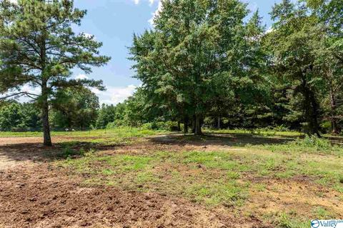5336 County Road 316, Trinity, AL 35673 photo 49