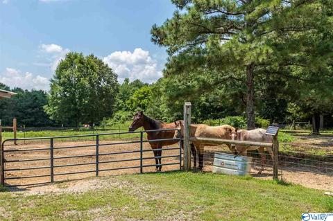5336 County Road 316, Trinity, AL 35673 photo 39