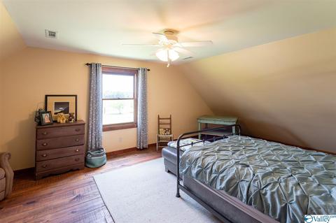 5336 County Road 316, Trinity, AL 35673 photo 17