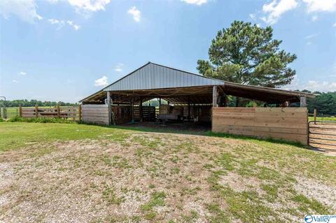 5336 County Road 316, Trinity, AL 35673 photo 35