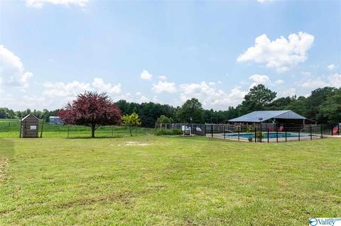 5336 County Road 316, Trinity, AL 35673 photo 42
