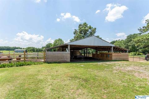 5336 County Road 316, Trinity, AL 35673 photo 50