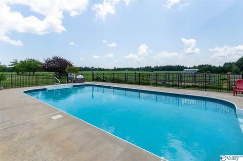 5336 County Road 316, Trinity, AL 35673 photo 31