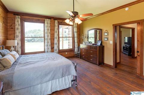 5336 County Road 316, Trinity, AL 35673 photo 11