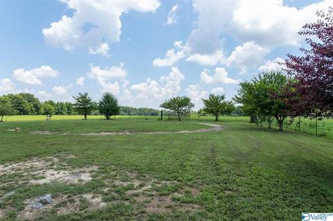 5336 County Road 316, Trinity, AL 35673 photo 40