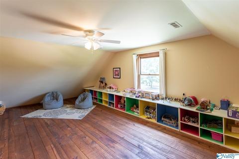 5336 County Road 316, Trinity, AL 35673 photo 16