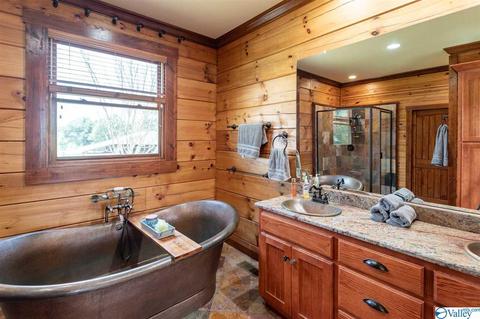 5336 County Road 316, Trinity, AL 35673 photo 19