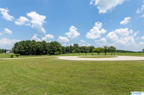5336 County Road 316, Trinity, AL 35673 photo 44
