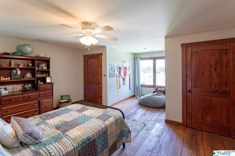 5336 County Road 316, Trinity, AL 35673 photo 21
