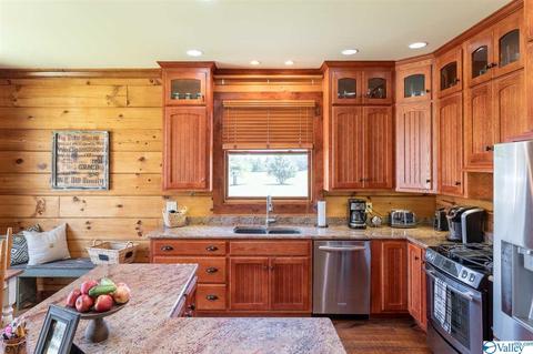 5336 County Road 316, Trinity, AL 35673 photo 25
