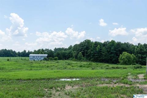 5336 County Road 316, Trinity, AL 35673 photo 43