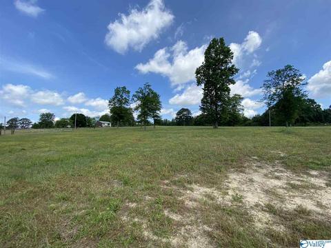 2310 County Road 49, Section, AL 35771 photo 44