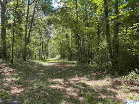 2310 County Road 49, Section, AL 35771 photo 33